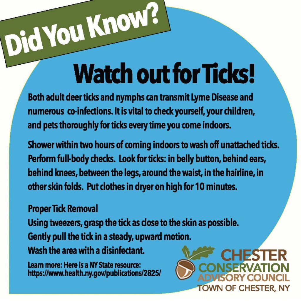 Watch out for ticks!