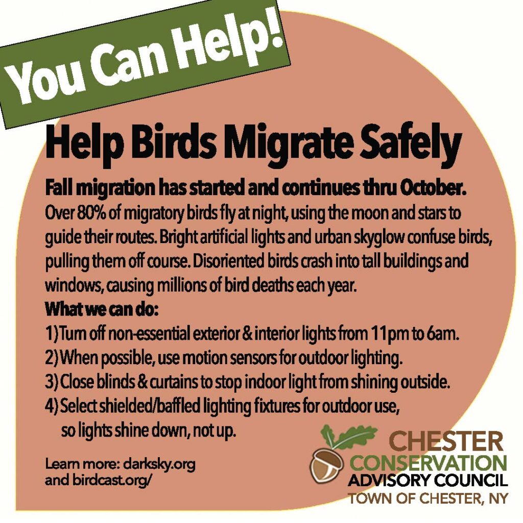 Help Birds Migrate Safely